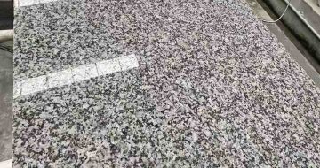 通化 芙蓉白光面
