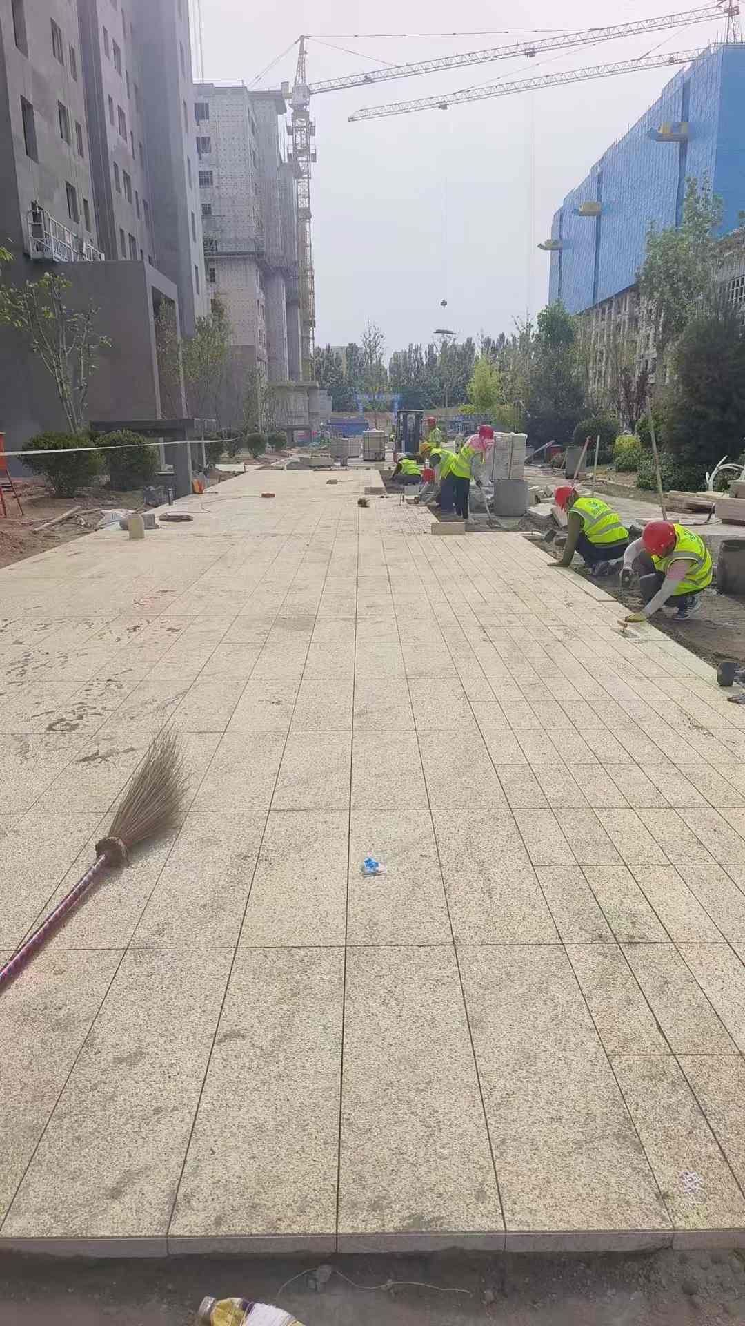 通化黄金麻荔枝面地铺案例