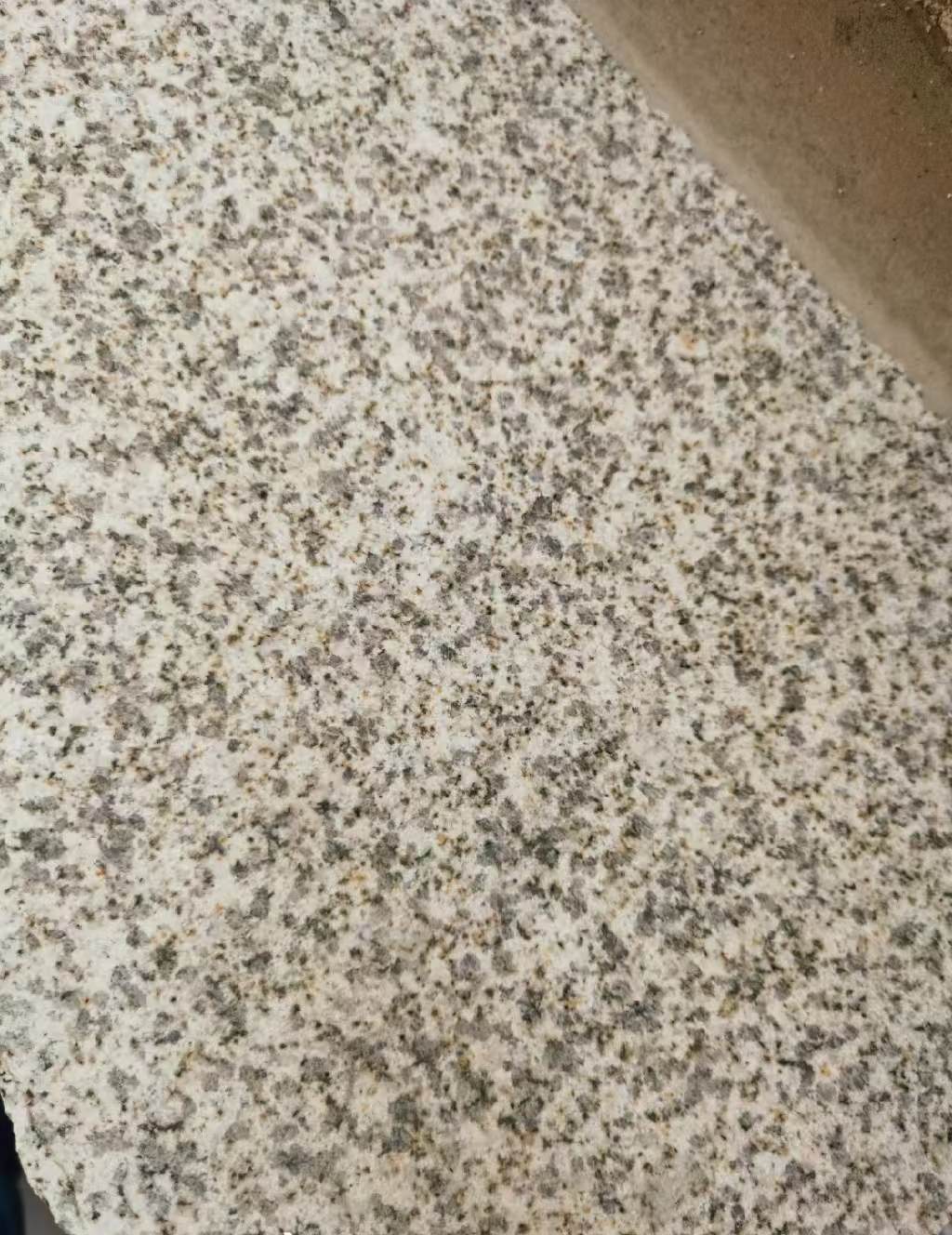 通化 黄金麻中黄光面